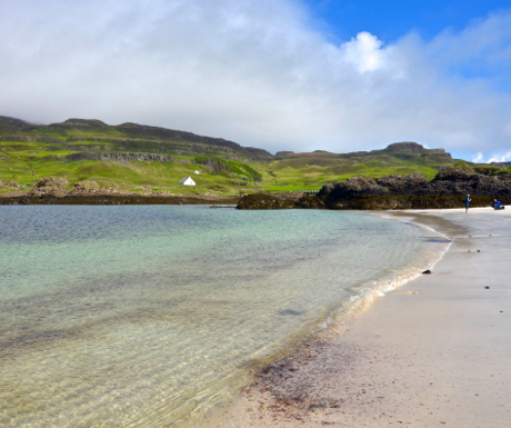 Canna beach