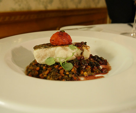 Hake at Goldsborough Hall