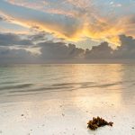 Exploring Zanzibar… sea, sand and spices