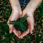 5 Ecuadorian vacations centered on environmental sustainability