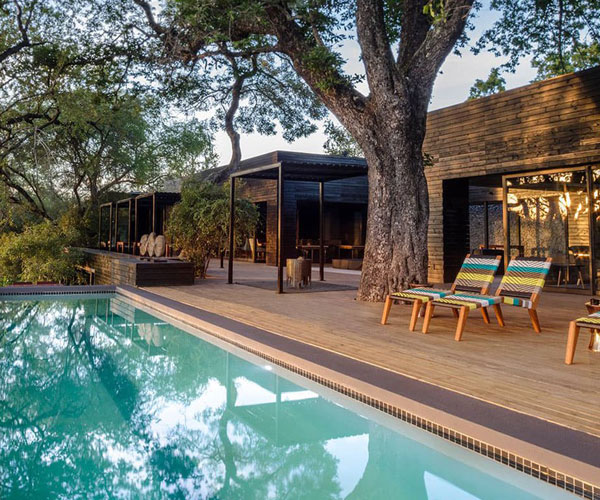 Top 5 safari lodges in Sabi Sands Game Reserve – holidaysguide.org