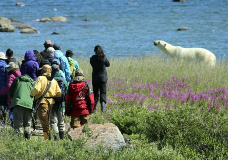 Churchill Wild: Where luxury meets polar bears – at ground level
