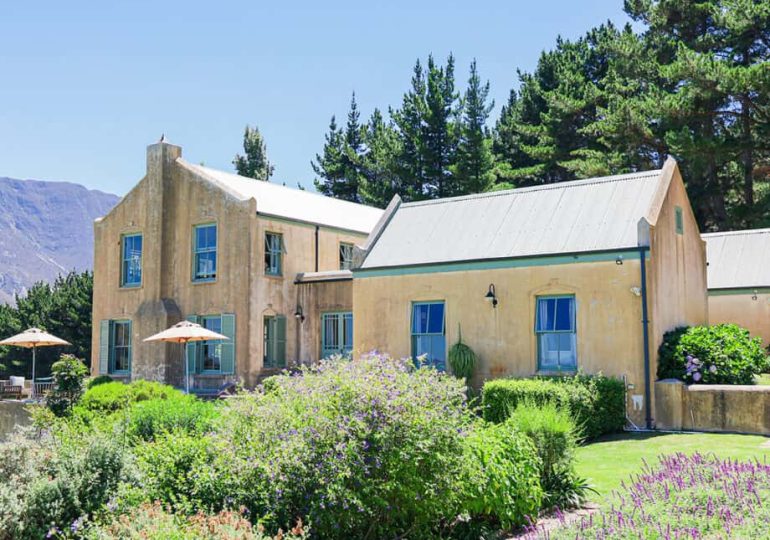 Review: Moya’s Vineyard, Hemel-en-Aarde Valley, Western Cape, South Africa