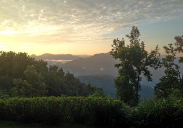 Holistic wellness and luxury living in the Himalayas