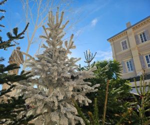 20 luxury food and drink treats to enjoy this Christmas (2025) – US & Canada edition