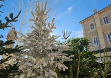 20 luxury food and drink treats to enjoy this Christmas (2025) – US & Canada edition