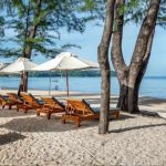 Review: Amora Beach Resort, Phuket, Thailand