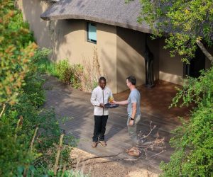 Review: Melozhori Private Nature Reserve, Western Cape, South Africa