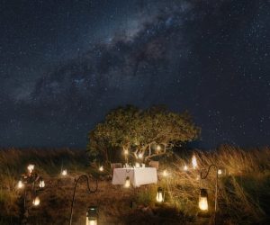 Safari lodges elevate their game